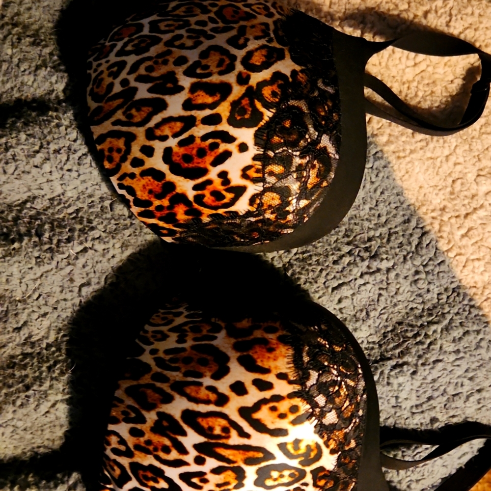 Victoria secret DD push up bra